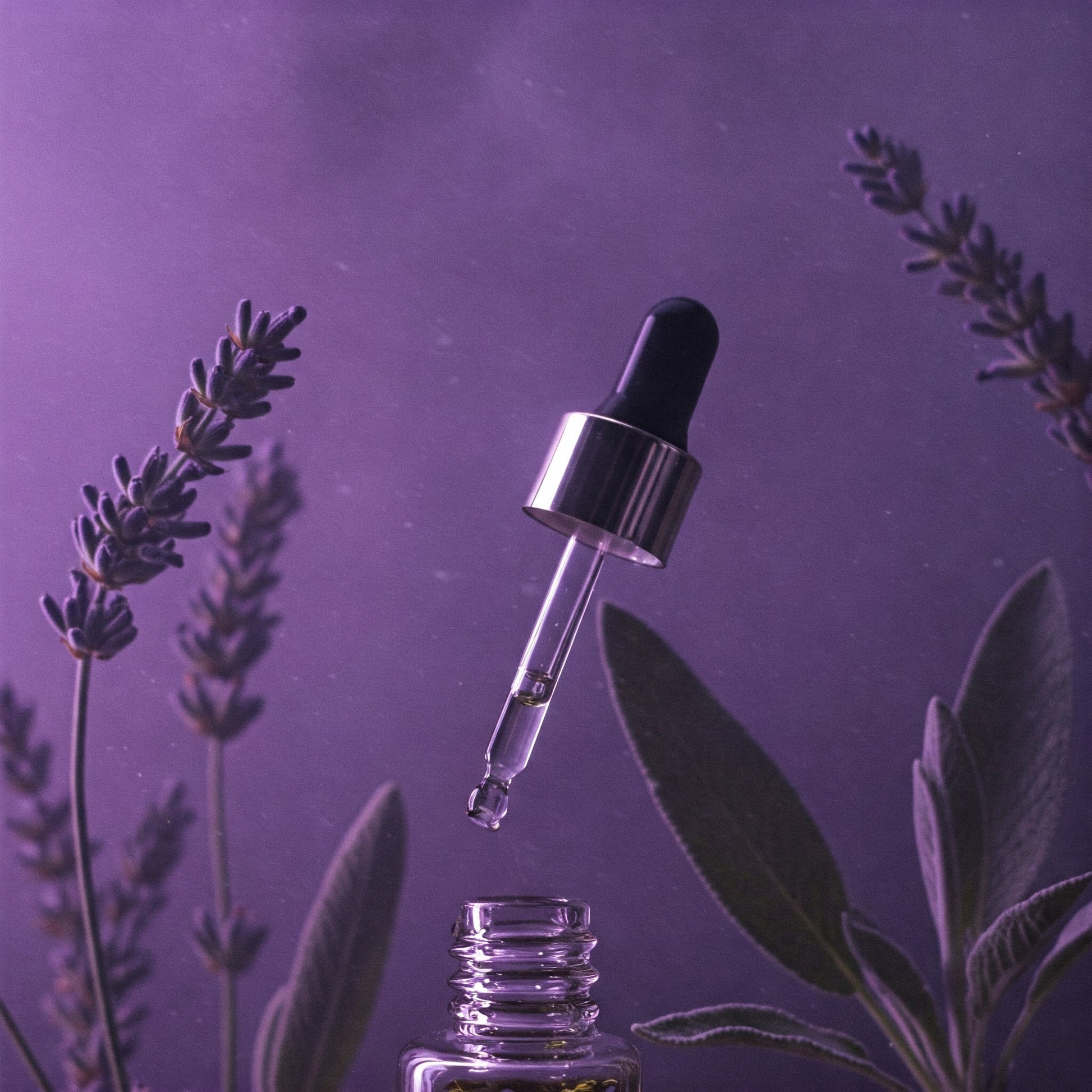 practical magic plant lavender Practical Magic – Savia Lux